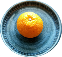 新堂みかんの名人「源次郎」の不知火（デコポン）をお試しください。