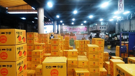 京都中央卸売市場青果セリ場 全国各地のおいしいみかんが集います