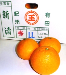 新堂みかんの生産者 新清（しんせい）さんの『清見』は清見の中でも群を抜いてその味わいすばらしいです。